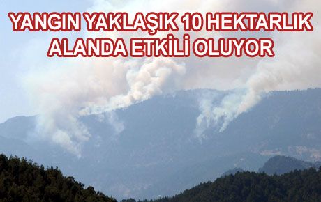 10 GÜN ÖNCE BAŞLAYAN YANGIN KONTROL ALTINA ALINDI