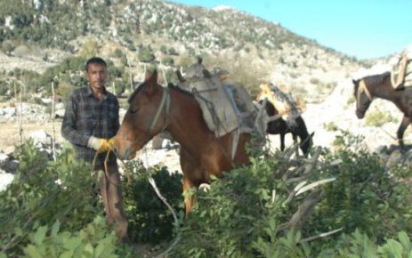 ANDIRINLILARIN YÜZÜ GÜLÜYOR