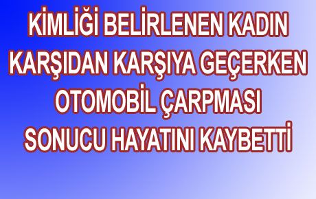 KARŞIDAN KARŞIYA GEÇERKEN CANINDAN OLDU