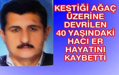 KESTİĞİ AĞACIN ALTINDA CAN VERDİ