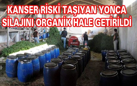 ORGANİK YONCA SİLAJI