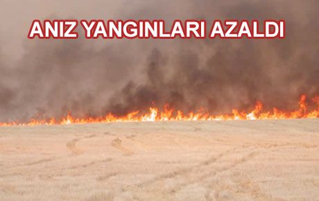 SAMAN FİYATLARI YÜKSELDİ ANIZ YANGINI AZALDI