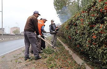Dulkadiroğlu Belediyesi ekipleri park ve bahçelerde bakım yaptı