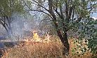 Kahramanmaraş Yedikuyular’da orman yangını