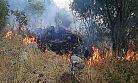  Kahramanmaraş'ta orman yangını