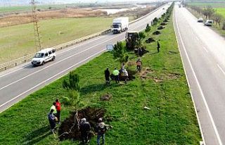 Türkoğlu Belediyesi fidanları toprakla buluşturuyor