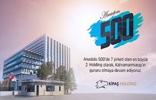 KİPAŞ, Anadolu 500 listesine 7 şirketiyle girdi